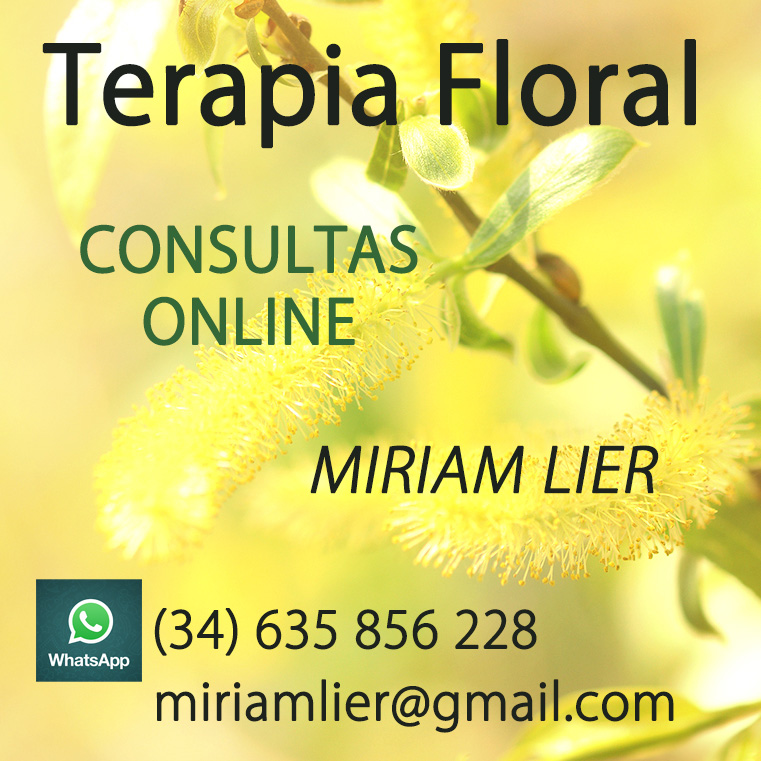 Miriam Lier - Terapeuta Floral